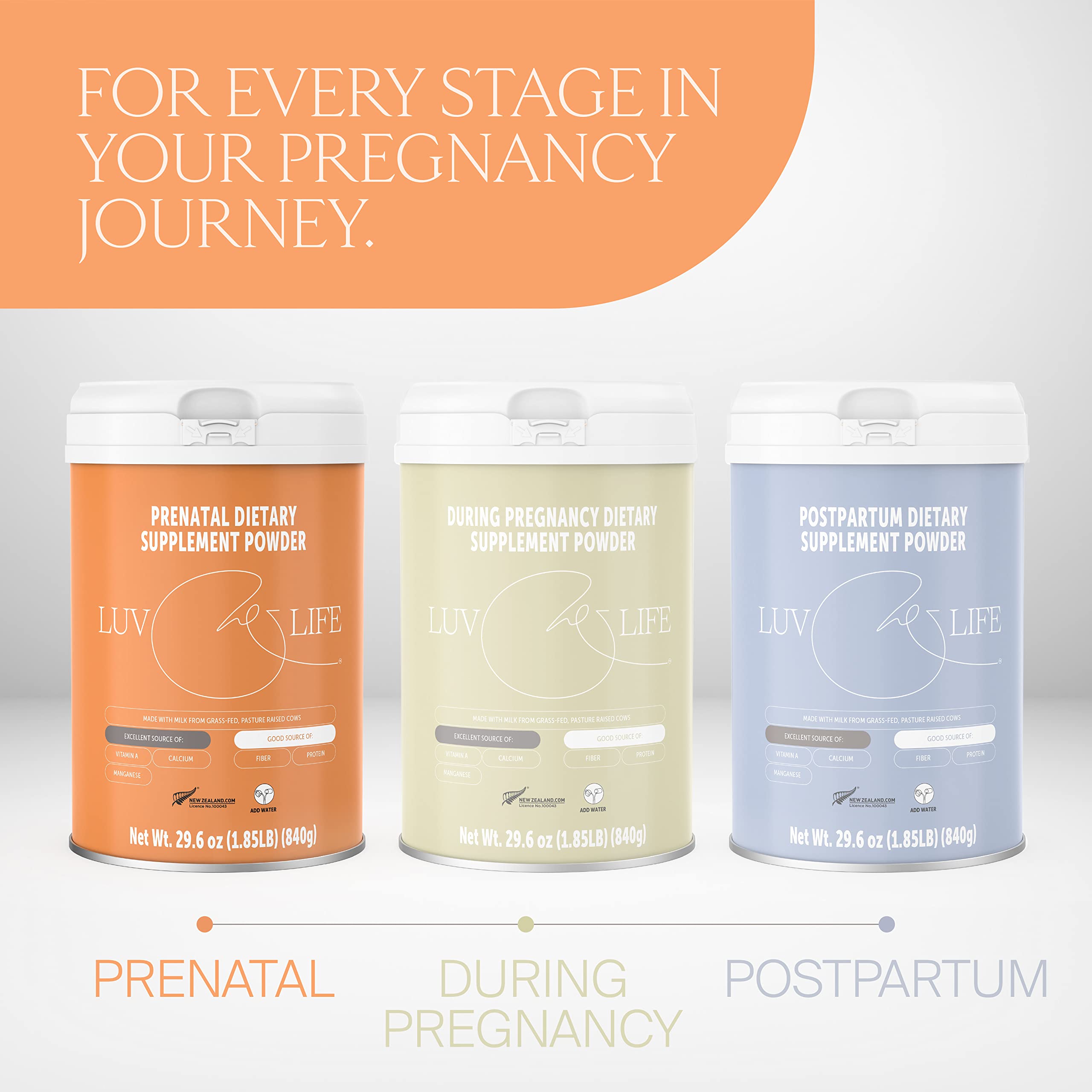 LUV&LIFE Prenatal Vitamin Supplement Powder Vanilla Flavored Contains Protein and Fiber LUV&LIFE