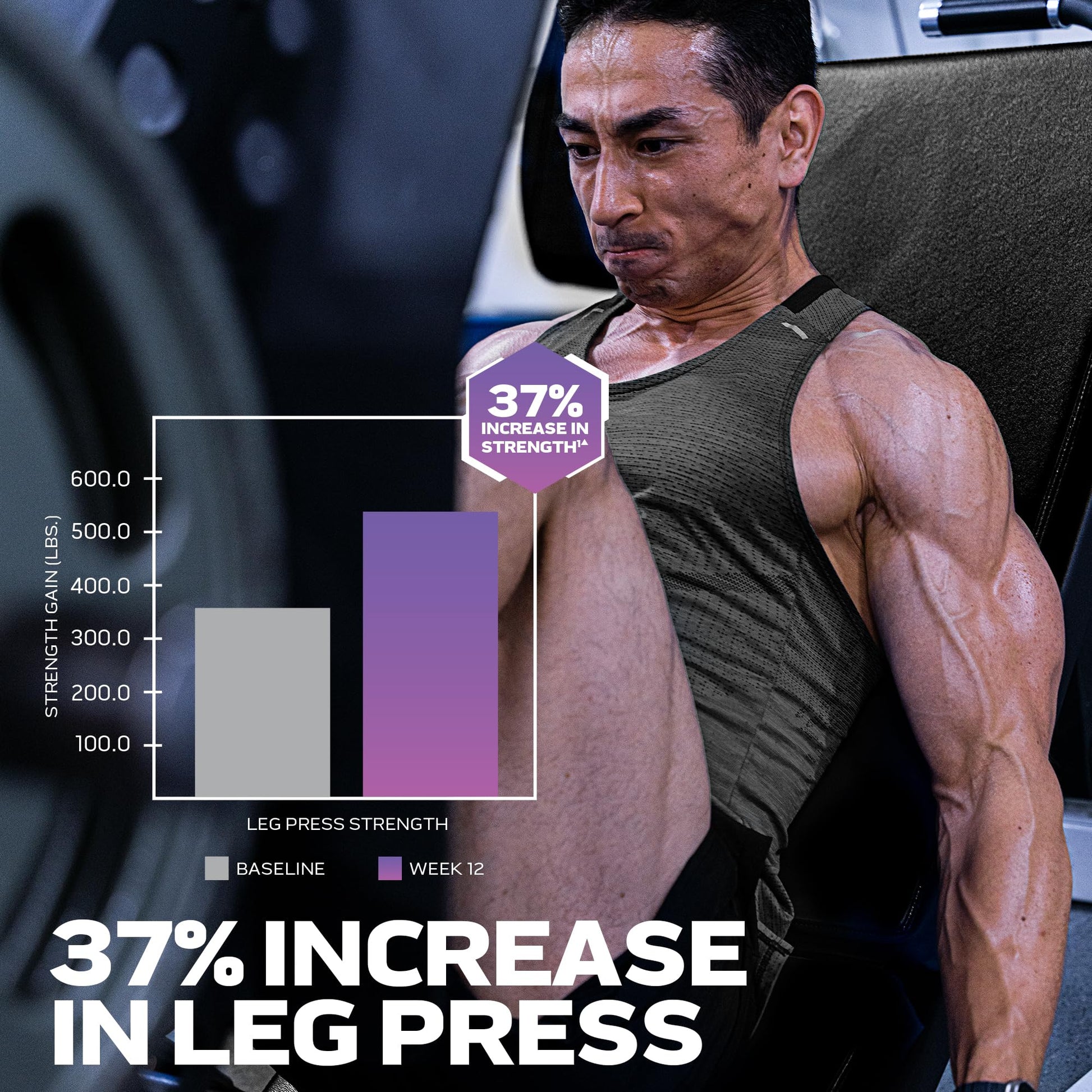 MuscleTech | Platinum 100% EAA+ |Essential Amino Acids | Muscle Strength Builder - AB Mystery