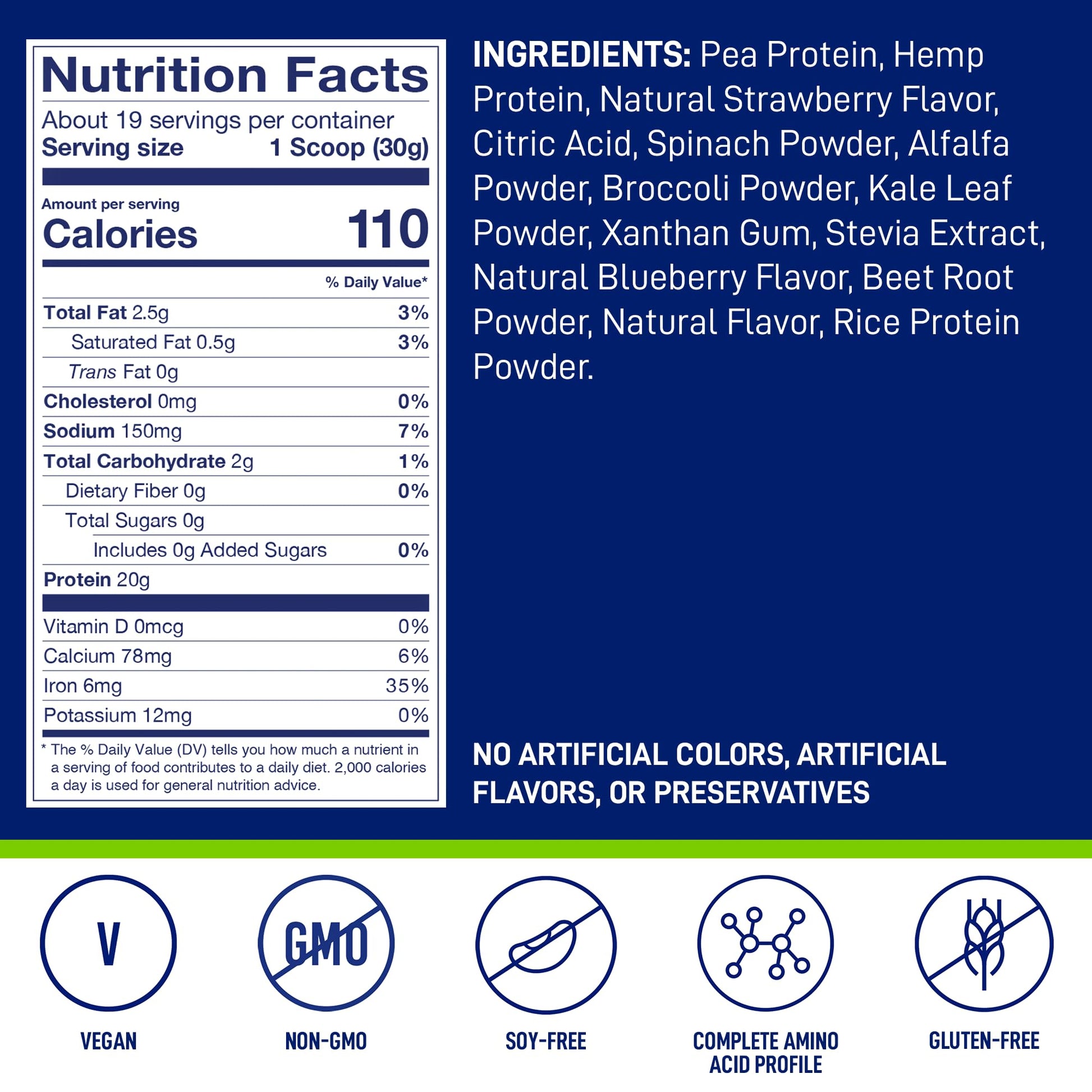 LeanFit Plant-Based Protein & Greens, Natural Berry, 20g Protein, 19 Servings, 1.25 Pound - AB Mystery