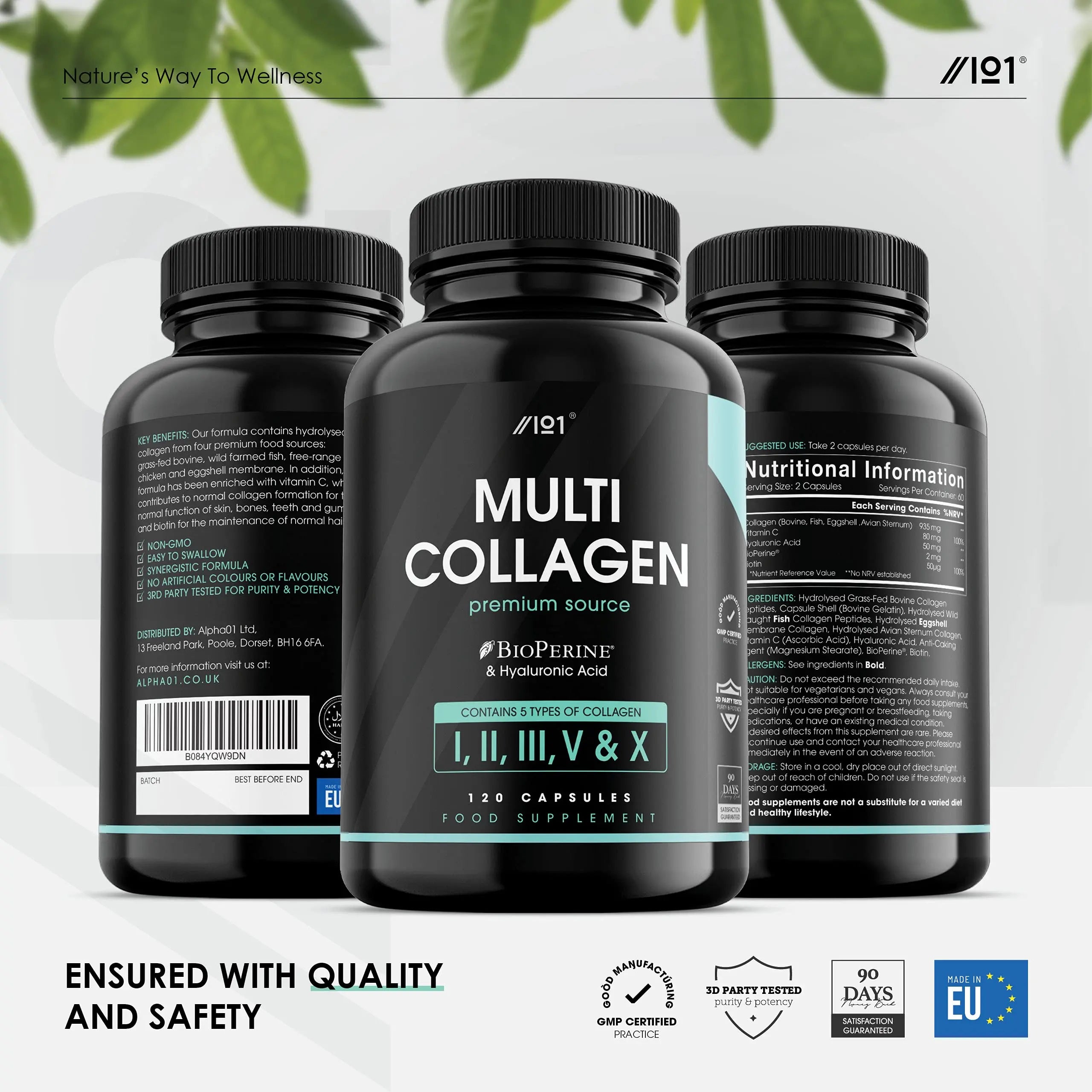Multi Collagen Capsules - 120 Capsules - Types I, II, III, V & X - Wild Caught Fish, Grass Fed Bovine, Eggshell Revive Naturals