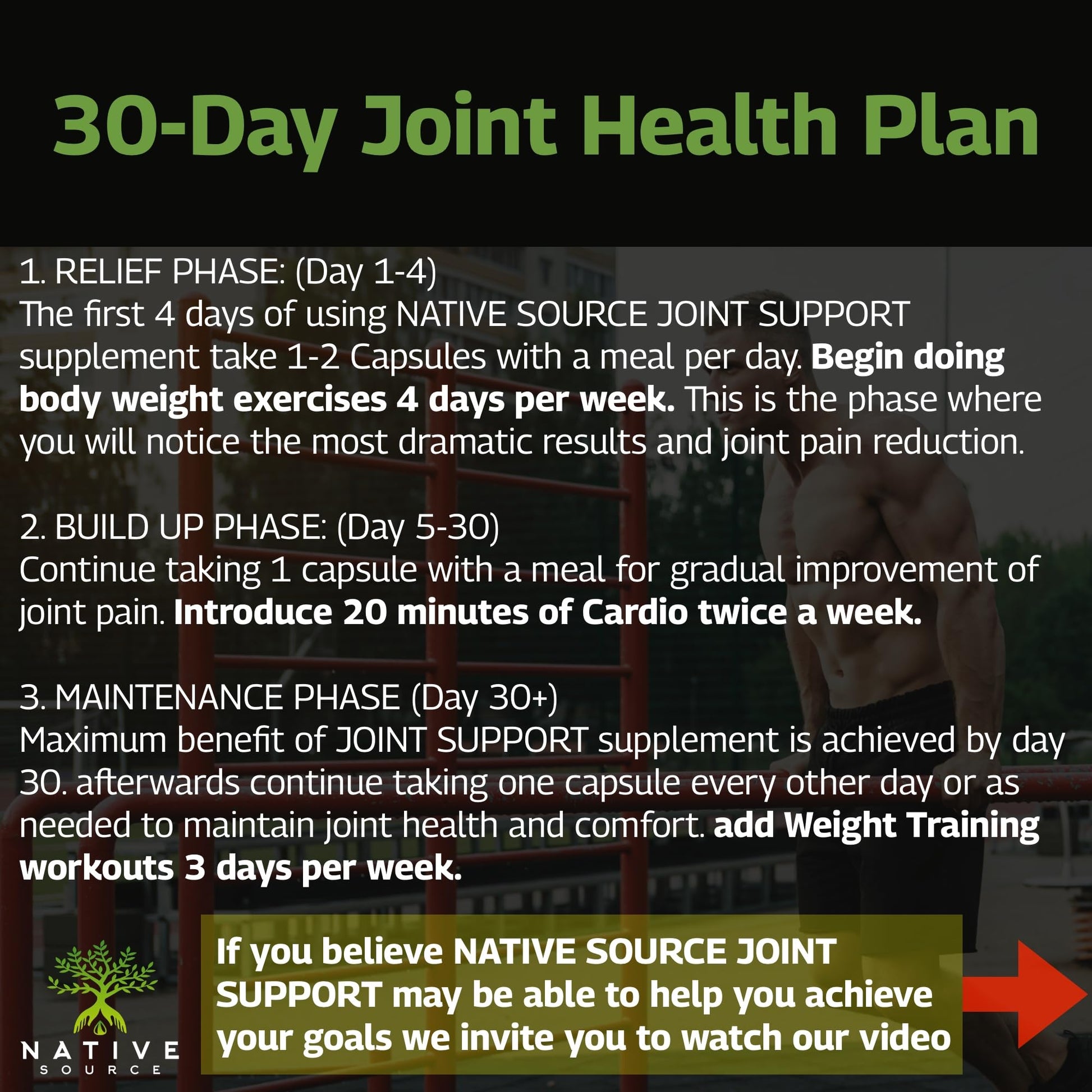 Native Source Joint Support Supplement - Turmeric - Tamarind - Boswellia - Fenugreek - AB Mystery