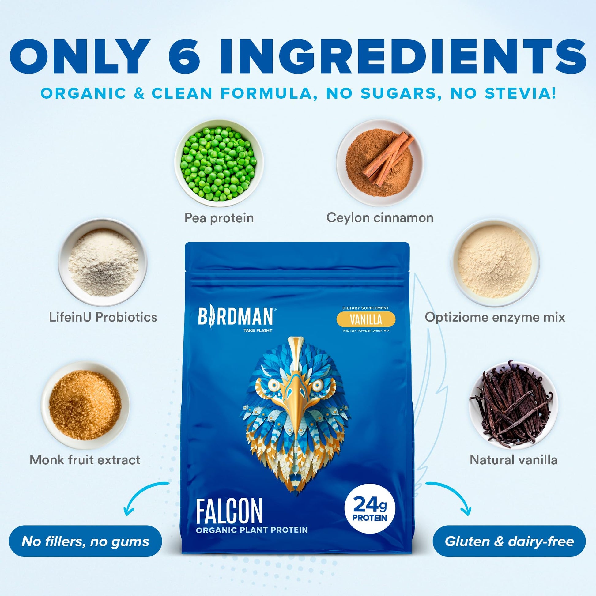 BIRDMAN Falcon Vegan Protein Powder Organic, Stevia & Sugar Free, Plant Based Protein - AB Mystery