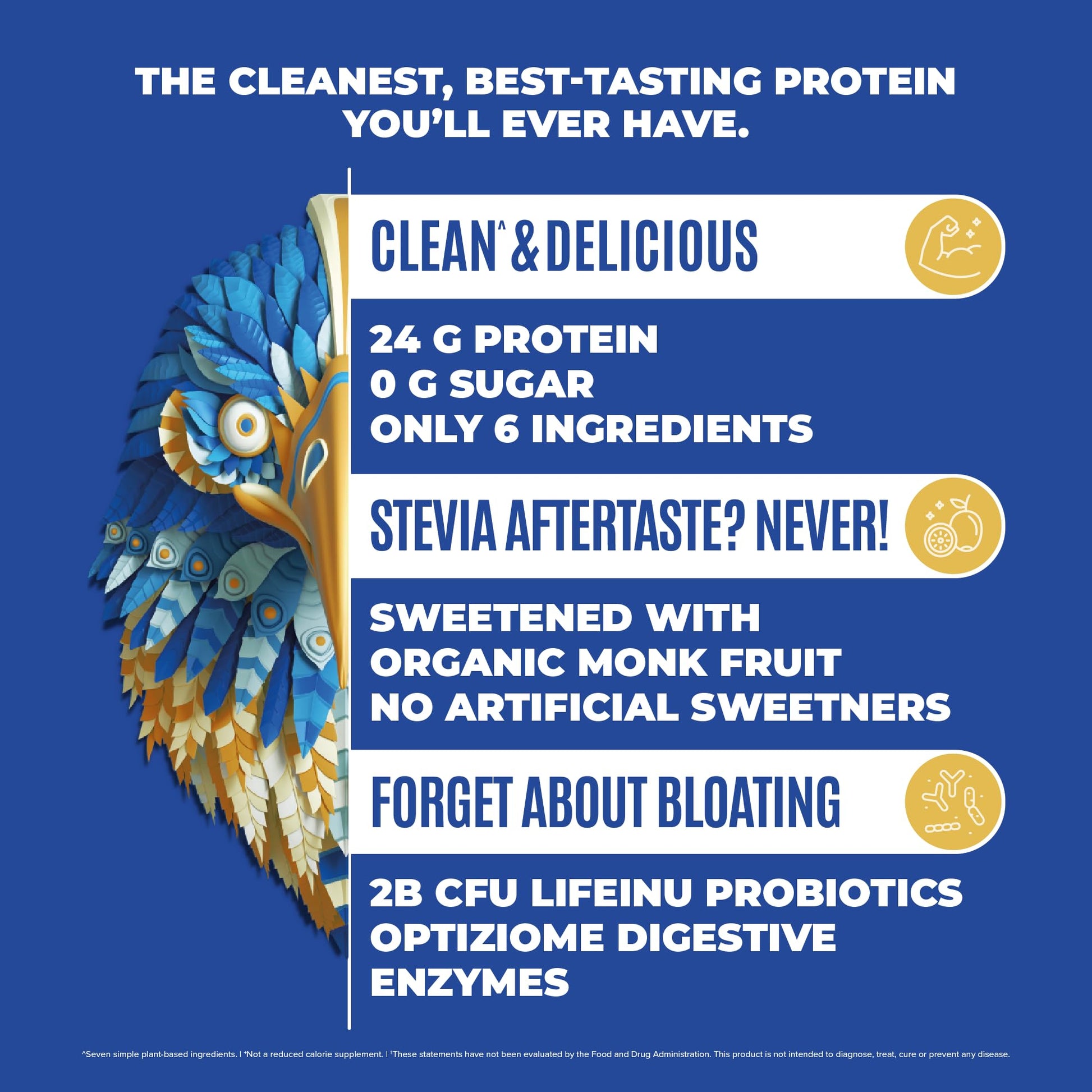 BIRDMAN Falcon Vegan Protein Powder Organic, Stevia & Sugar Free, Plant Based Protein - AB Mystery