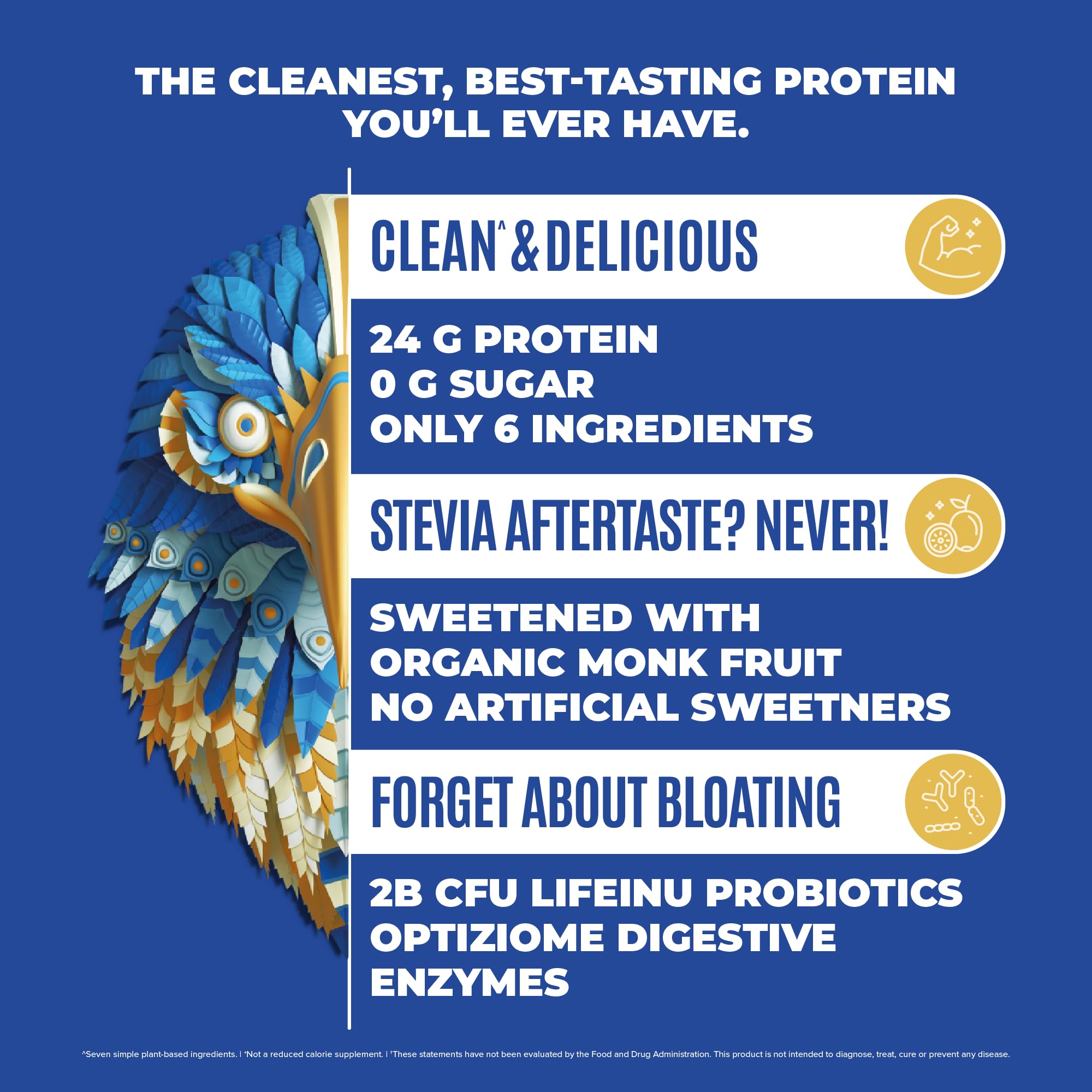 BIRDMAN Falcon Vegan Protein Powder Organic, Stevia & Sugar Free, Plant Based Protein - AB Mystery