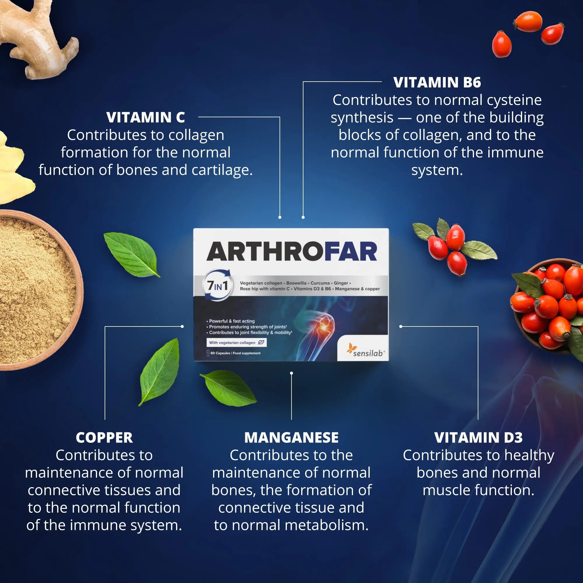 Boswellia Serrata Capsules | Sensilab ArthroFar | Joint Care Supplements - AB Mystery