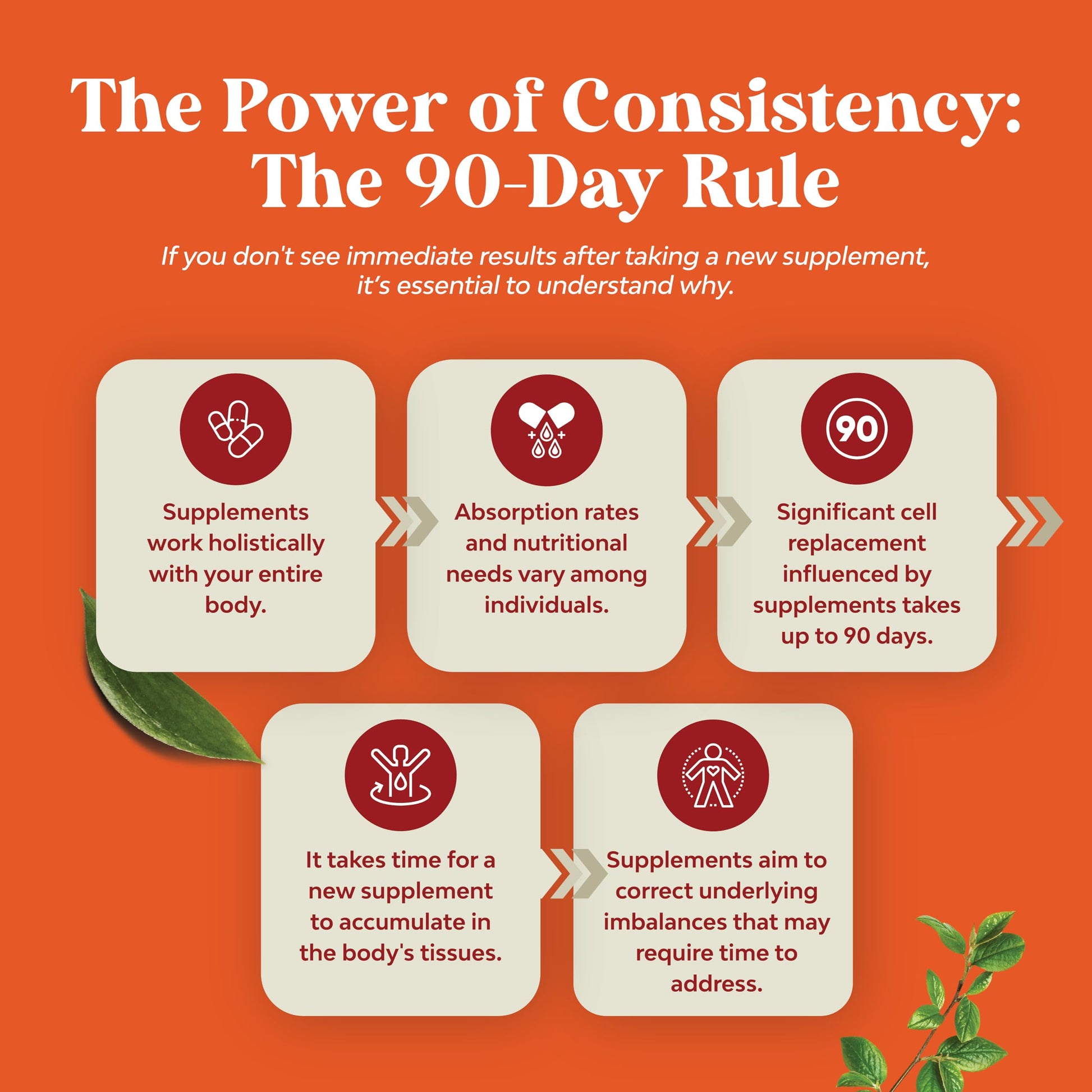 Antarctic Krill Oil 2000mg Softgels Per Serving - Omega 3 Krill Oil Supplement - AB Mystery