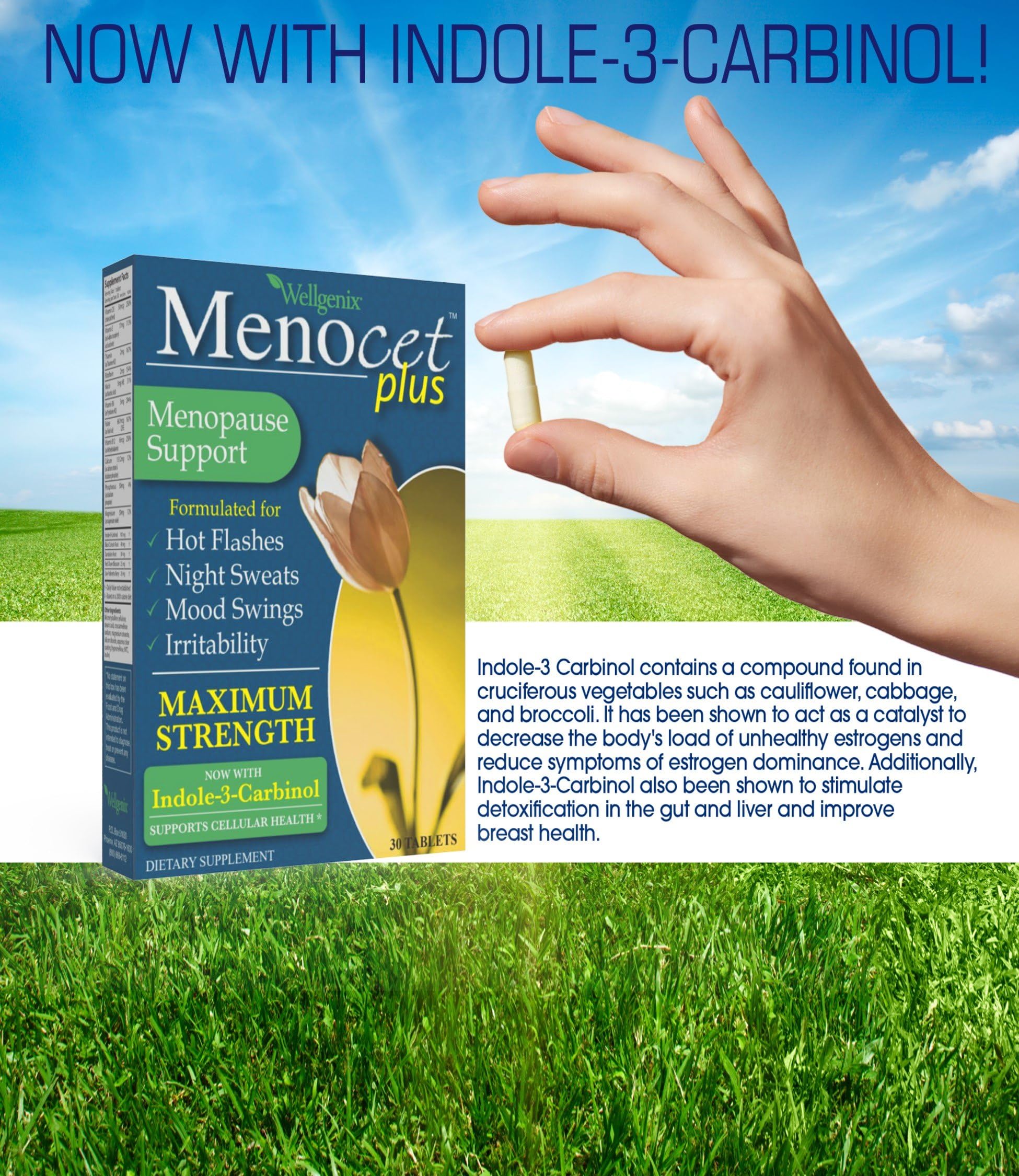 Wellgenix Menocet Plus Menopause Support - All-in-One Menopause Supplement - Daily Relief Feminine - AB Mystery