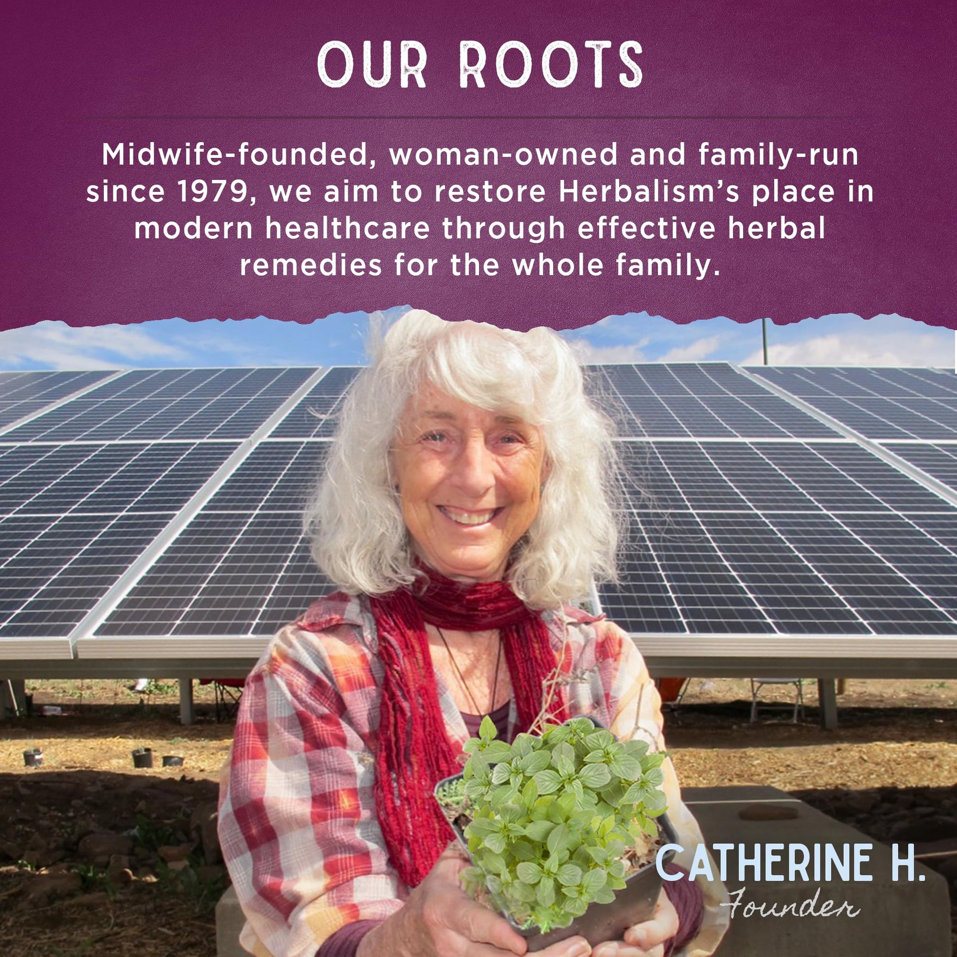 WishGarden Herbs Cycle Changes Herbal Menopause Support - Plant-Based Supplement w/Black Cohosh - AB Mystery