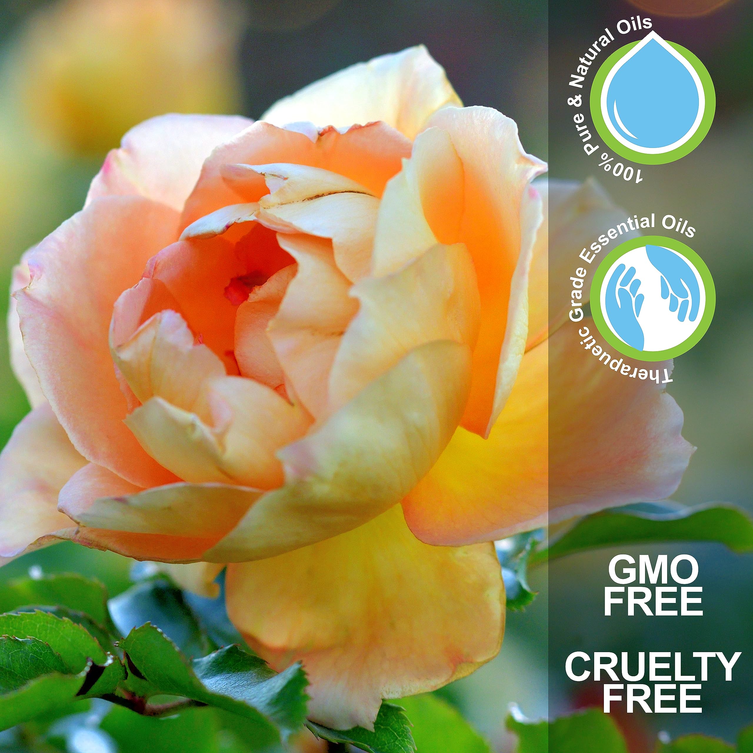 NV Superfoods Cycle Support - Essential Oil Roll-On - 10 ml – 100% Pure Therapeutic Grade - AB Mystery