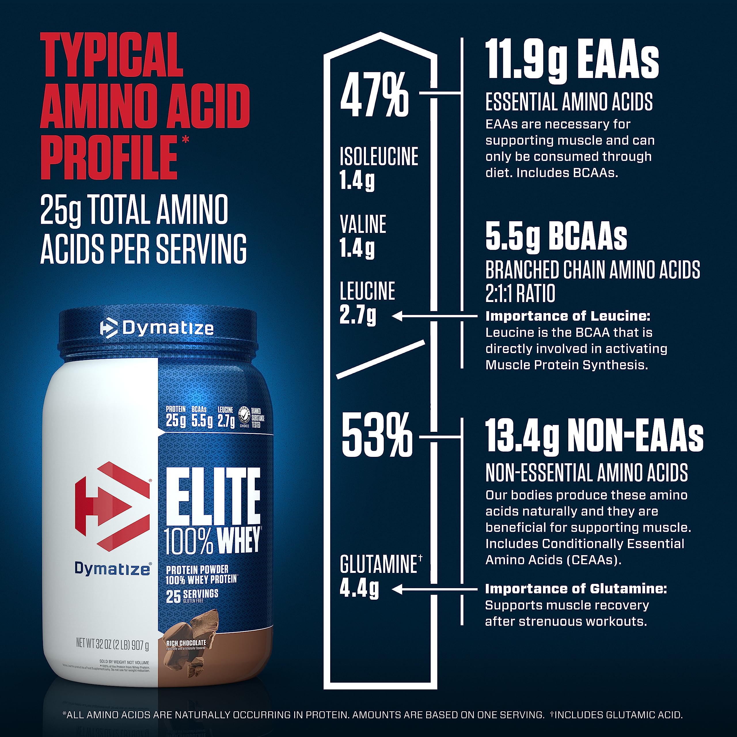 Dymatize Elite 100% Whey Protein Powder, 25g Protein, 5.5g BCAAs & 2.7g L-Leucine - AB Mystery