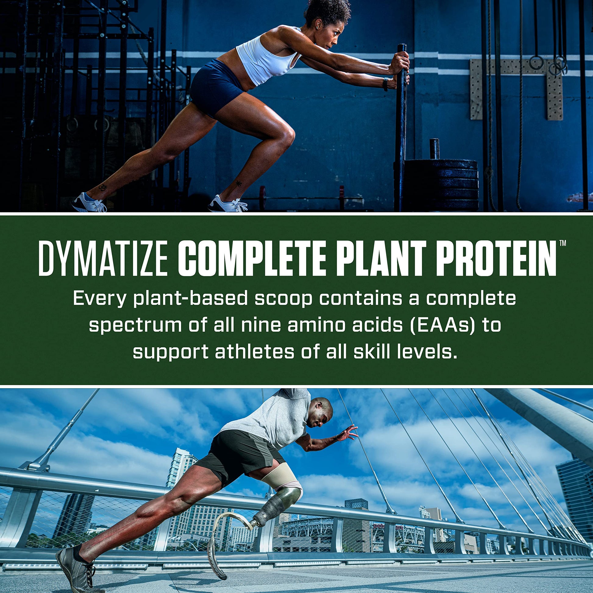 Dymatize Vegan Plant Protein, Creamy Chocolate, 25g Protein, 4.8g BCAAs, Complete - AB Mystery
