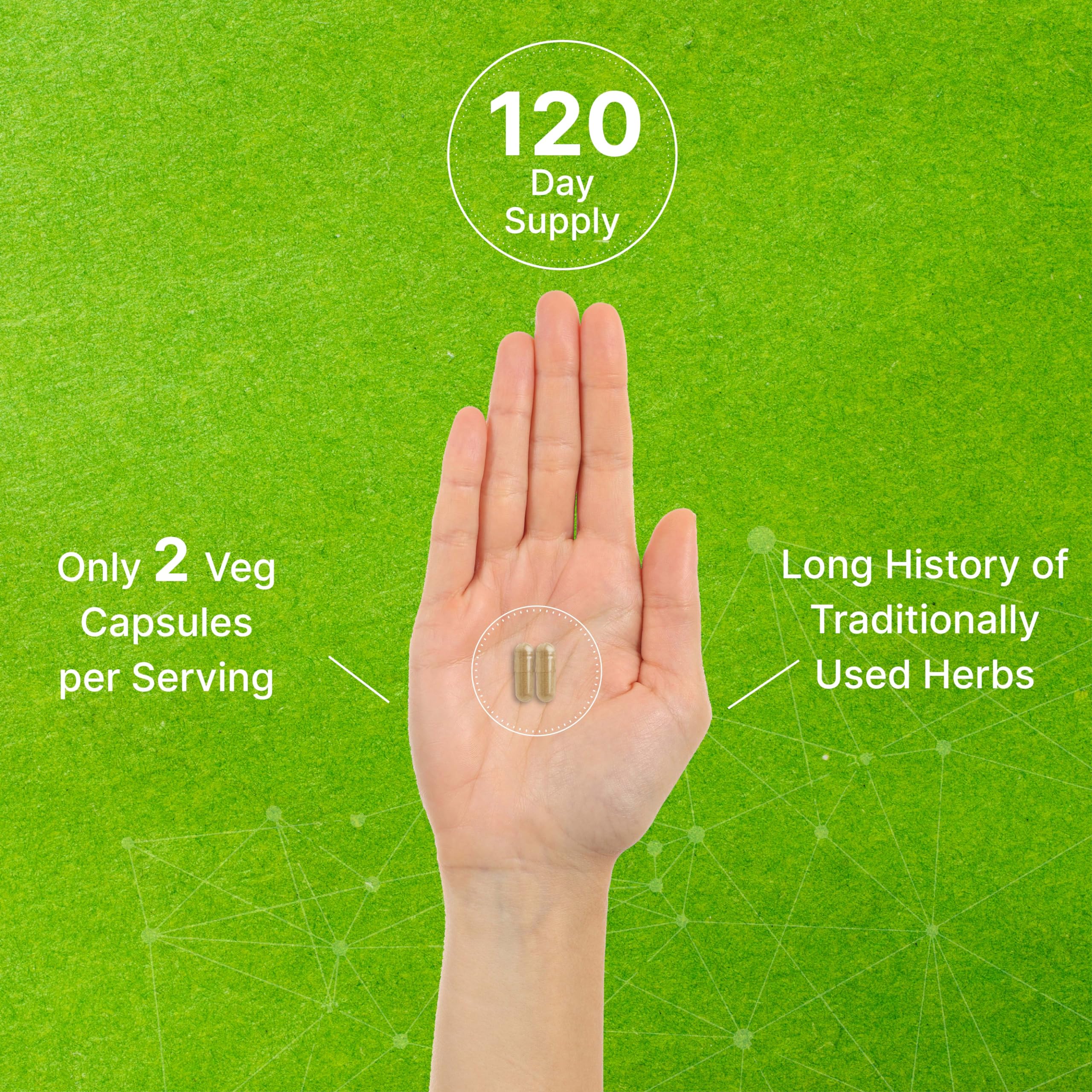 Vitex Supplement for Women – Vitex Chasteberry Supplement 1000mg Per Serving Plus Dong Quai Root - AB Mystery