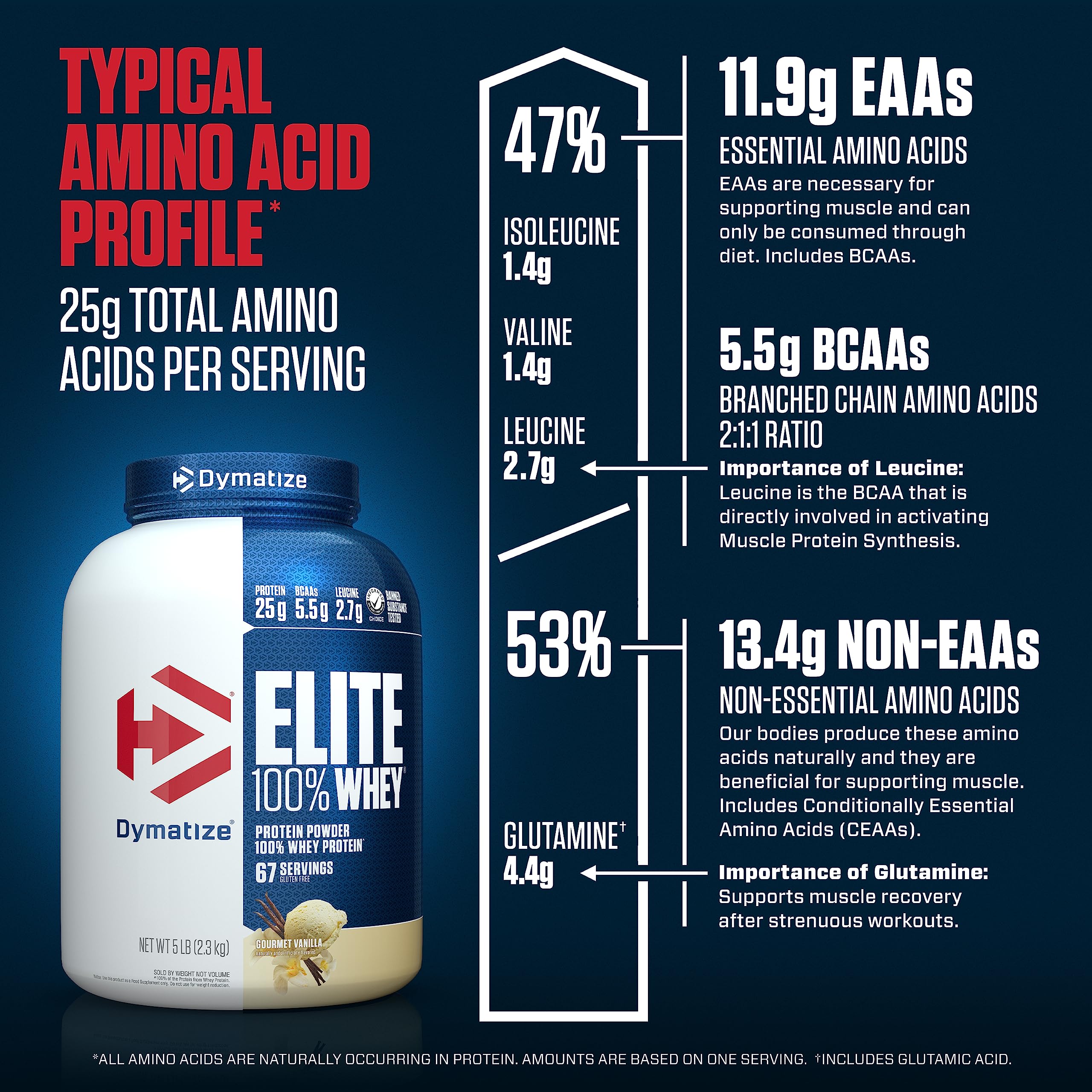 Dymatize Elite 100% Whey Protein Powder, 25g Protein, 5.5g BCAAs & 2.7g L-Leucine - AB Mystery