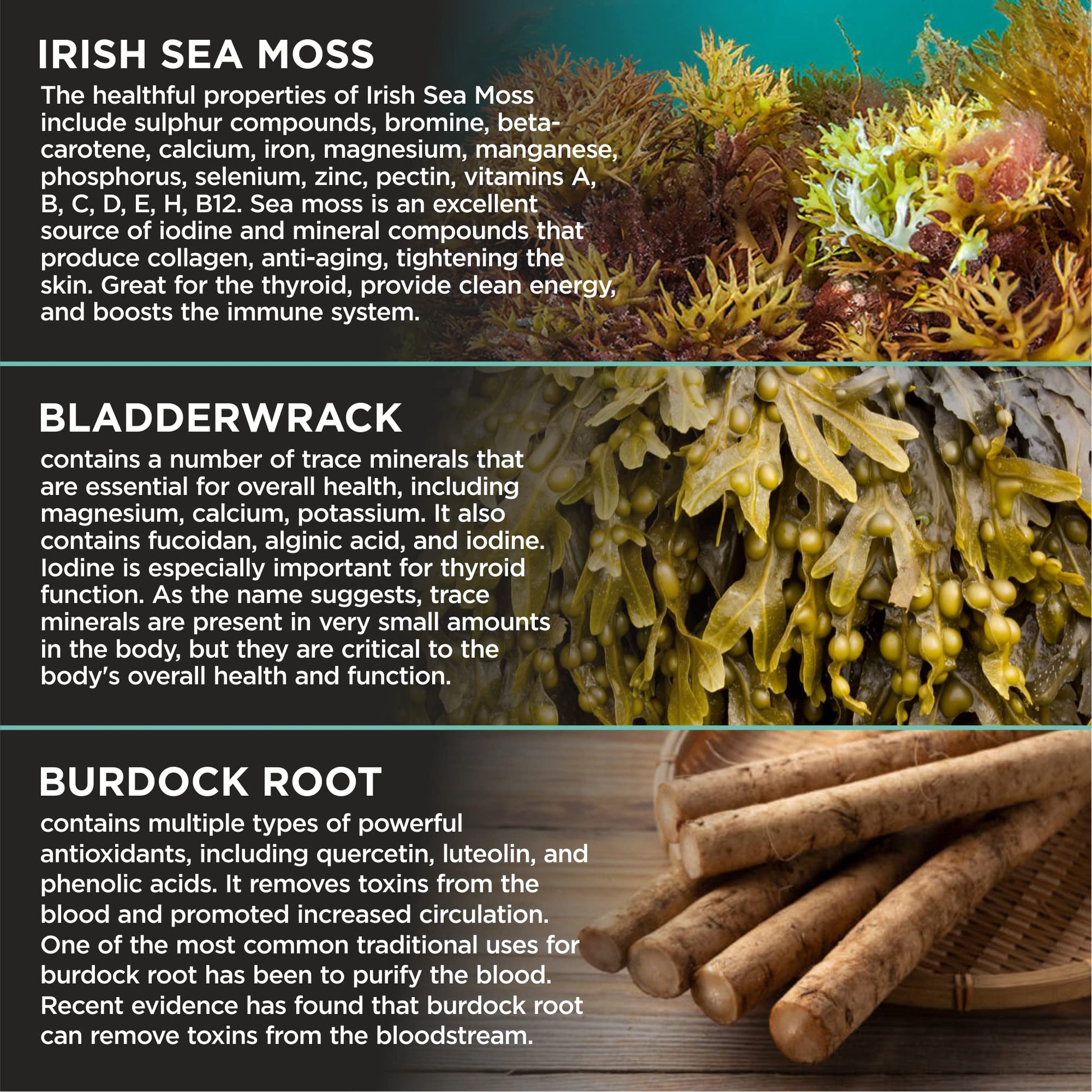 HerbaMe Organic Irish Sea Moss with Bladderwrack, Burdock Root & Black Pepper Extract - AB Mystery